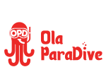 OLA PARADIVE